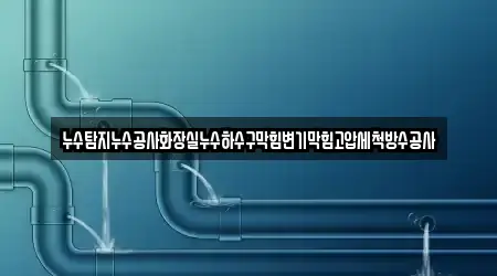 누수탐지누수공사화장실누수하수구막힘변기막힘고압세척방수공사