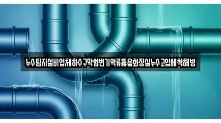 누수탐지설비업체하수구막힘변기역류뚫음화장실누수고압세척해빙