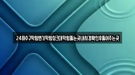24하수구막힘변기막힘싱크대막힘뚫는곳내시경확인후뚫어주는곳