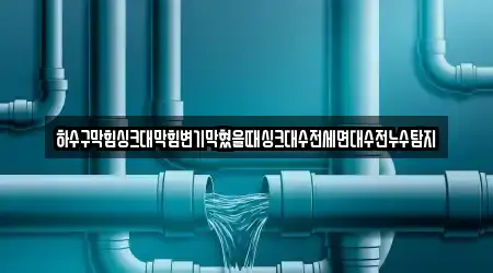 하수구막힘싱크대막힘변기막혔을때싱크대수전세면대수전누수탐지
