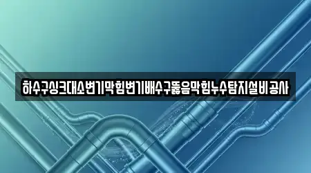 하수구싱크대소변기막힘변기배수구뚫음막힘누수탐지설비공사