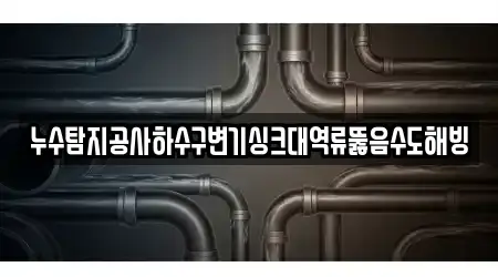 누수탐지공사하수구변기싱크대역류뚫음수도해빙