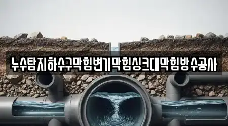 누수탐지하수구막힘변기막힘싱크대막힘방수공사