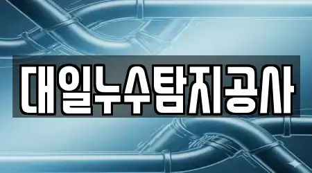 대일누수탐지공사