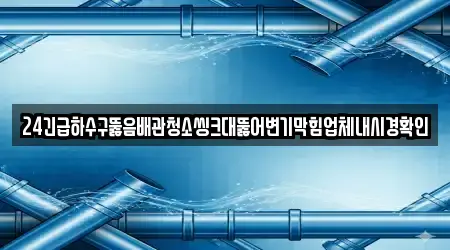 24긴급하수구뚫음배관청소씽크대뚫어변기막힘업체내시경확인