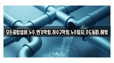 모든종합설비,누수,변기막힘,하수구막힘,누수탐지,수도동파,해빙