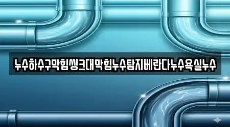 누수하수구막힘씽크대막힘누수탐지베란다누수욕실누수