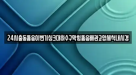 24시출동뚫음이변기싱크대하수구막힘뚫음배관고압세척내시경