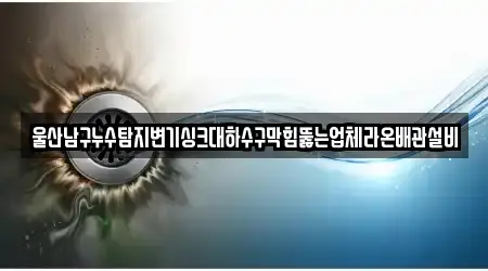 울산남구누수탐지변기싱크대하수구막힘뚫는업체라온배관설비