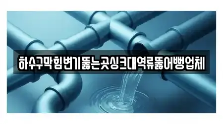 하수구막힘변기뚫는곳싱크대역류뚫어뻥업체