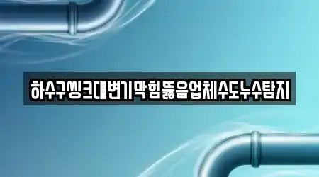 하수구씽크대변기막힘뚫음업체수도누수탐지