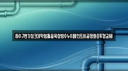 하수구변기싱크대막힘뚫음옥상방수누수페인트시공정화조뚜껑교체