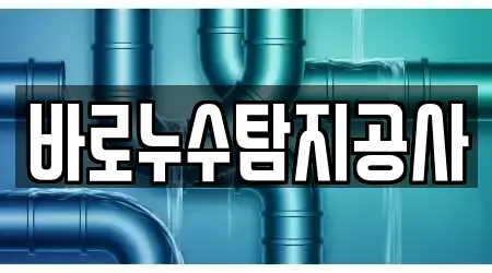 바로누수탐지공사