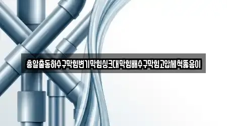 총알출동하수구막힘변기막힘싱크대막힘배수구막힘고압세척뚫음이
