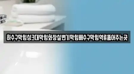 하수구막힘싱크대막힘화장실변기막힘배수구막힘역류뚫어주는곳