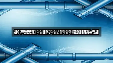 하수구막힘싱크대막힘배수구막힘변기막힘역류뚫음배관뚫는업체