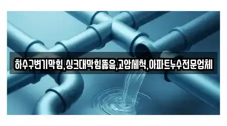 하수구변기막힘,싱크대막힘뚫음,고압세척,아파트누수전문업체
