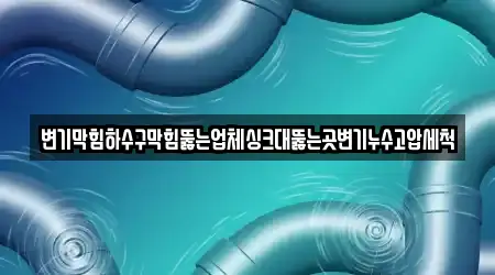 변기막힘하수구막힘뚫는업체싱크대뚫는곳변기누수고압세척