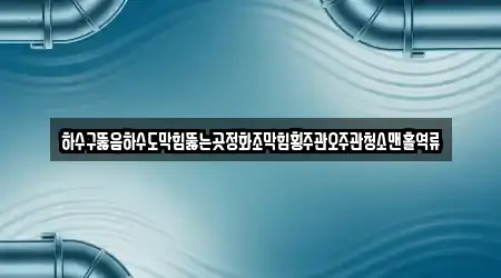 하수구뚫음하수도막힘뚫는곳정화조막힘횡주관오주관청소맨홀역류