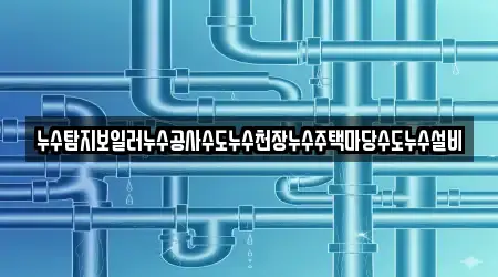 누수탐지보일러누수공사수도누수천장누수주택마당수도누수설비