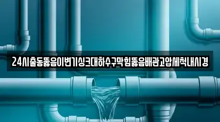 24시출동뚫음이변기싱크대하수구막힘뚫음배관고압세척내시경