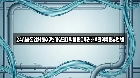 24시출동업체하수구변기싱크대막힘뚫음뚜러배수관역류뚫는업체
