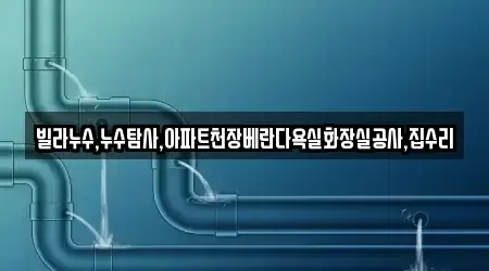 빌라누수,누수탐사,아파트천장베란다욕실화장실공사,집수리