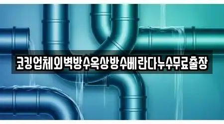 코킹업체외벽방수옥상방수베란다누수무료출장