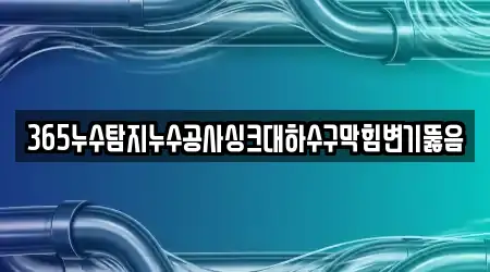 365누수탐지누수공사싱크대하수구막힘변기뚫음