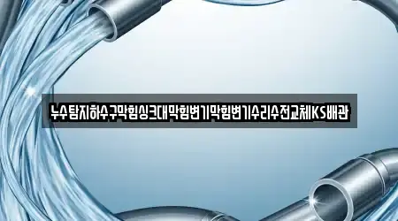 누수탐지하수구막힘싱크대막힘변기막힘변기수리수전교체KS배관
