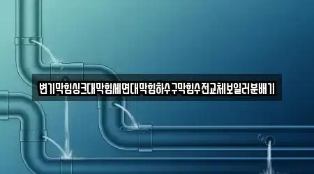 변기막힘싱크대막힘세면대막힘하수구막힘수전교체보일러분배기