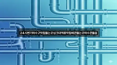 경기도 성남시 분당구 하수관 뚫음 총 1곳 모음