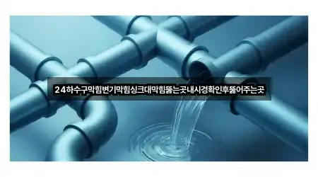 24하수구막힘변기막힘싱크대막힘뚫는곳내시경확인후뚫어주는곳