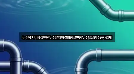 누수탐지비용십만원누수문제해결화장실천장누수욕실방수공사업체