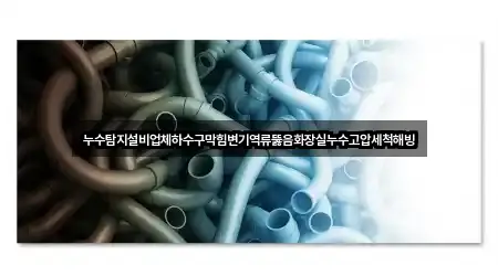누수탐지설비업체하수구막힘변기역류뚫음화장실누수고압세척해빙
