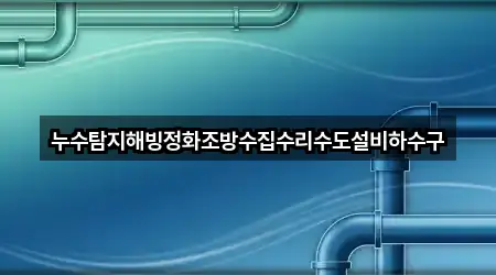 누수탐지해빙정화조방수집수리수도설비하수구