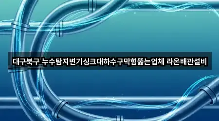 대구북구 누수탐지변기싱크대하수구막힘뚫는업체 라온배관설비