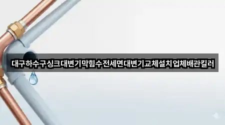 대구하수구싱크대변기막힘수전세면대변기교체설치업체배관킬러