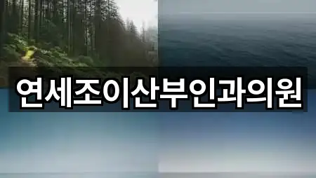 연세조이산부인과의원