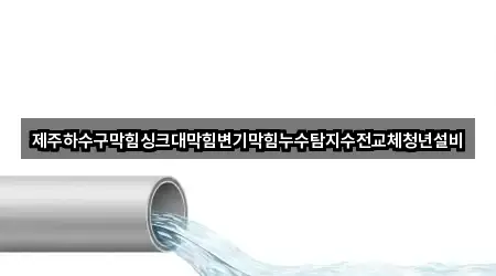 제주하수구막힘싱크대막힘변기막힘누수탐지수전교체청년설비