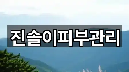 진솔이피부관리