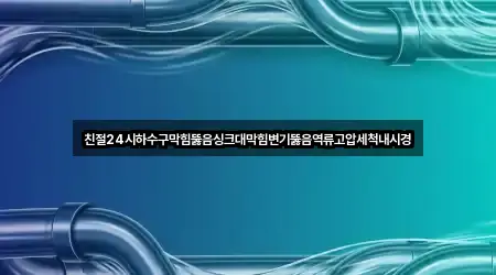 친절24시하수구막힘뚫음싱크대막힘변기뚫음역류고압세척내시경