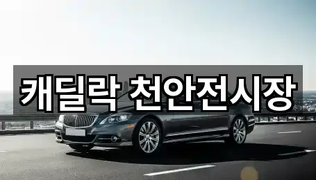 캐딜락 천안전시장