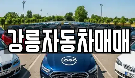 강원 강릉시 박월동 중고차 전문 강릉자동차매매