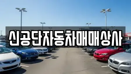 강원 동해시 쇄운동 중고차 전문 신공단자동차매매상사