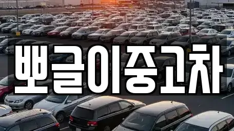 강원특별자치도 고성군 죽왕면 중고차 전문 뽀글이중고차