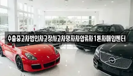 강원특별자치도 고성군 죽왕면 중고차매입 전문 수출중고차법인차고장사고차망자차압류차1톤차매입센터