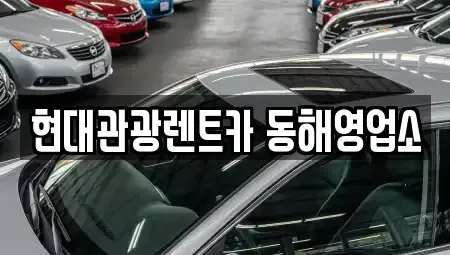 강원특별자치도 동해시 단봉동 렌트카 전문 현대관광렌트카 동해영업소