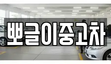 강원특별자치도 동해시 단봉동 중고차매매 전문 뽀글이중고차
