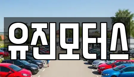강원특별자치도 동해시 단봉동 중고차매매 전문 유진모터스